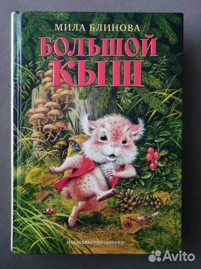 Книга Большой Кыш