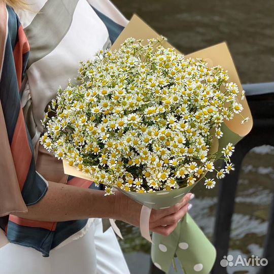 Букет из Ромашек. Цветы. Доставка
