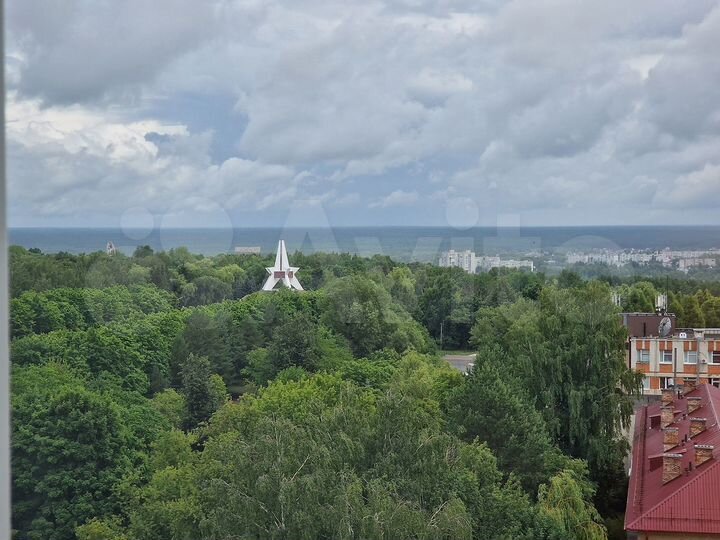 1-к. квартира, 53 м², 10/17 эт.