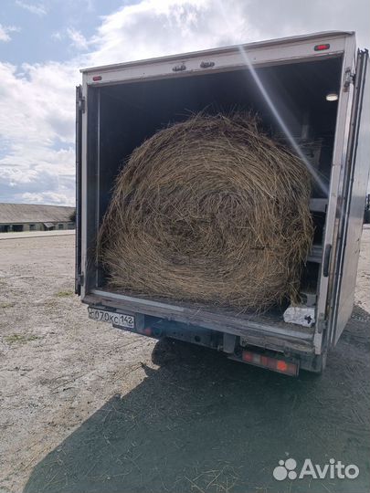 Сено в тюках от 200-250кк стандартные