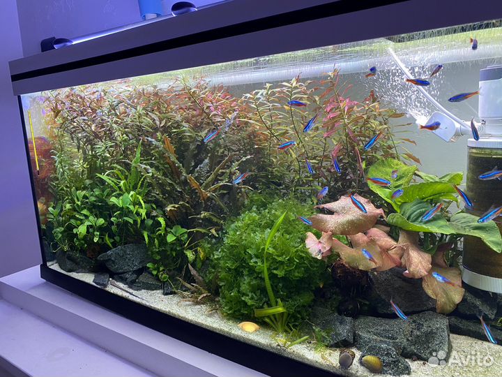 Аквариум 110 л копия Juwel Primo 110