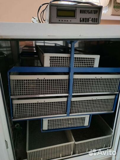 Инкубатор автоматический на 450 куриных яиц