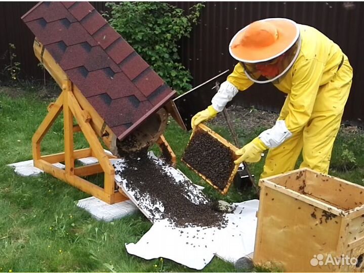 Обслуживание вашей пасеки пчеловод
