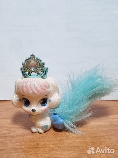 Тыковка,щенок Золушки