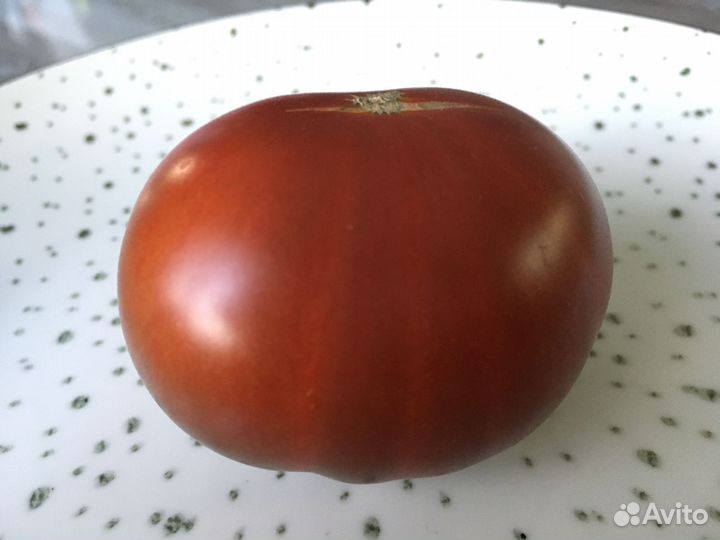 Семена томатов, и не только. Огромный выбор