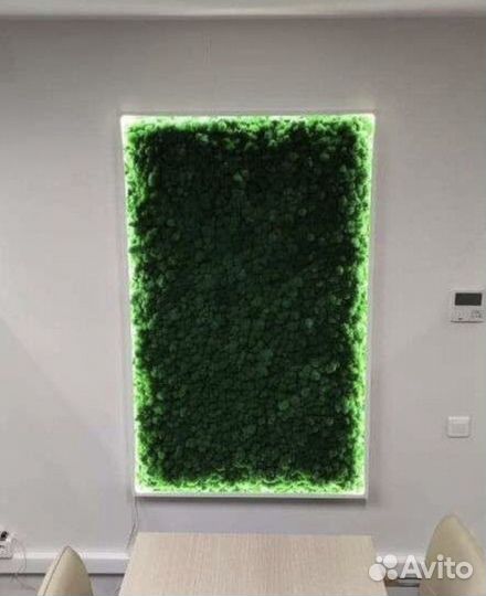 Фитостена мох и искусственные растения