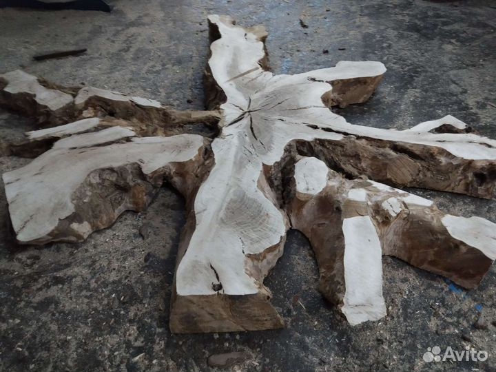 Слэб корня дуба