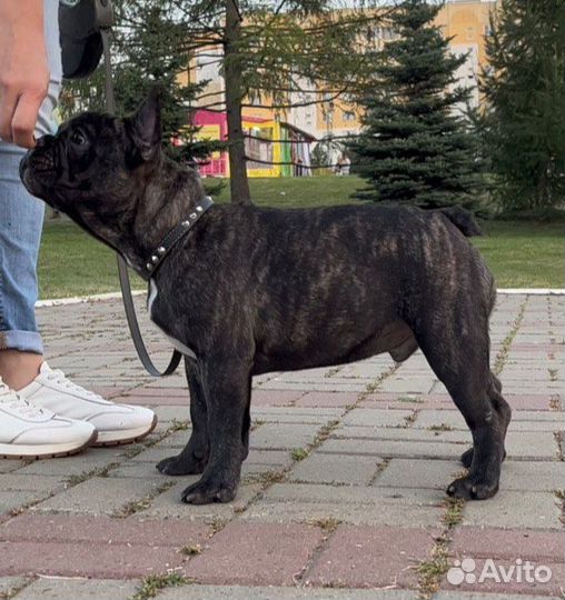 Интересный парень