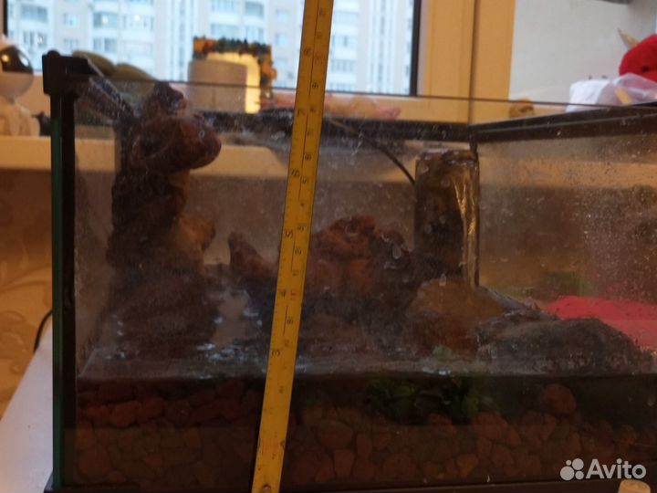 Террариум/аквариум