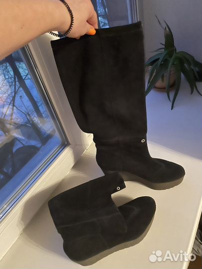 Сапоги демисезонные женские 38