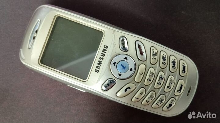 Samsung SGH-X100