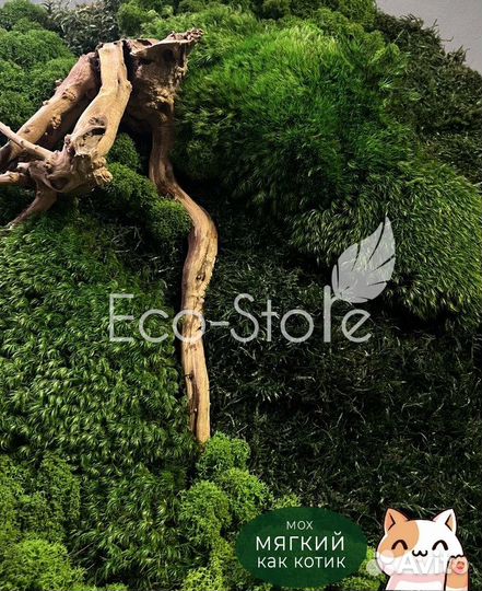 Картина со мхом и корягой