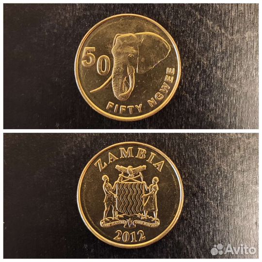 Замбия 50 нгве 2012 года анц unc