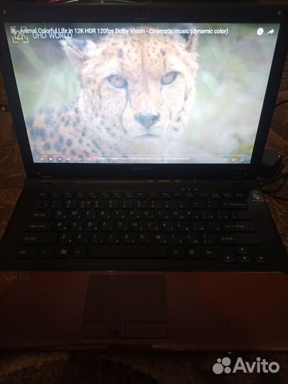 Ноутбук sony vaio