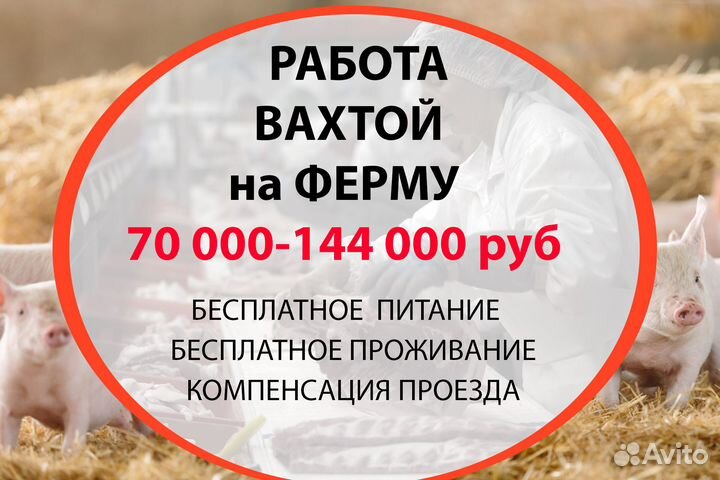 Вахта в Тверской обл. с проживанием и питанием