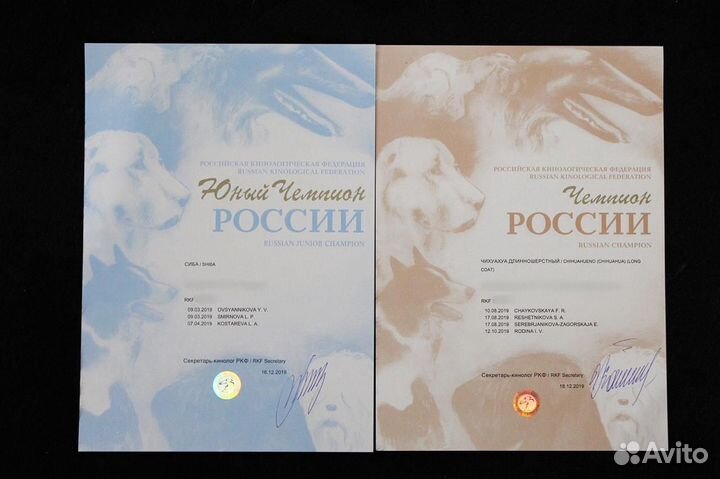 Документы РКФ