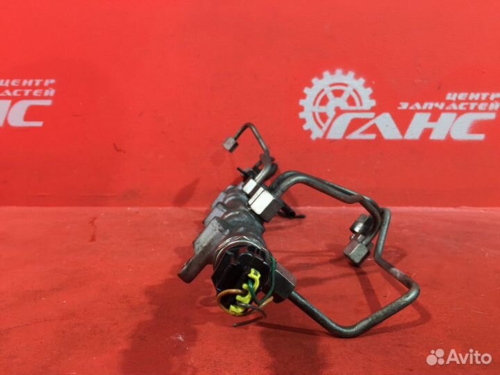 Топливная рампа Hyundai Santa Fe Cm SUV D4HB 2.2L