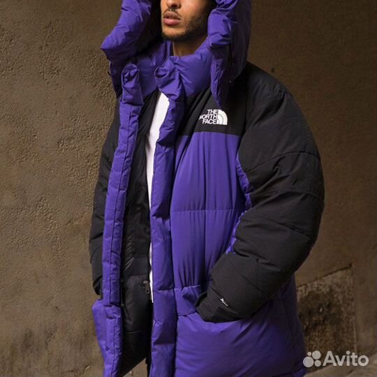 THE north face 1994 Collection Down Jacket Men Purple (L)(23)