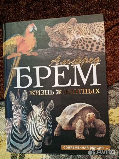 Книга жизнь животных
