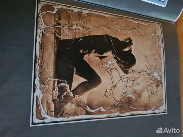 Ню. Альбом художественных фоторабот