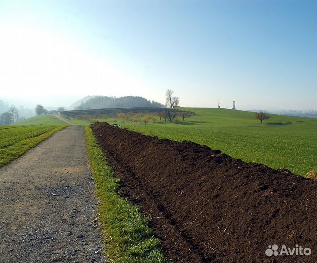 Грунт, чернозем с доставкой