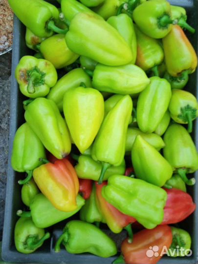 Помидор перец чеснок