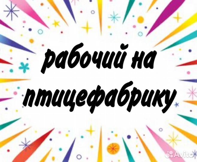 Рабочий на комплекс по убою (без опыта)