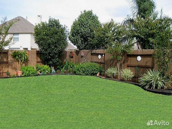 Рулонный газон