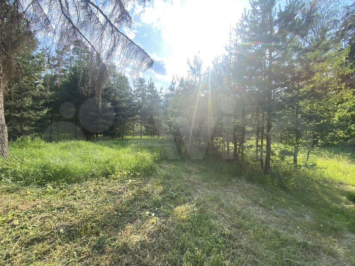 Участок 12,5 сот. (ИЖС)