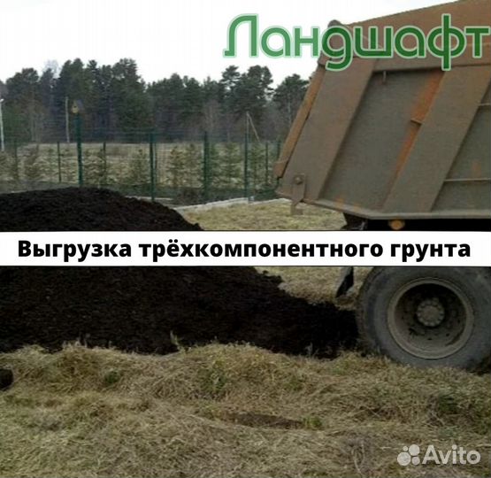 Высший сорт рулонного газона в рулонах мо