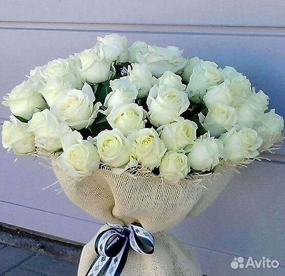 101 роза цветы букеты доставка 25 51 101 роза