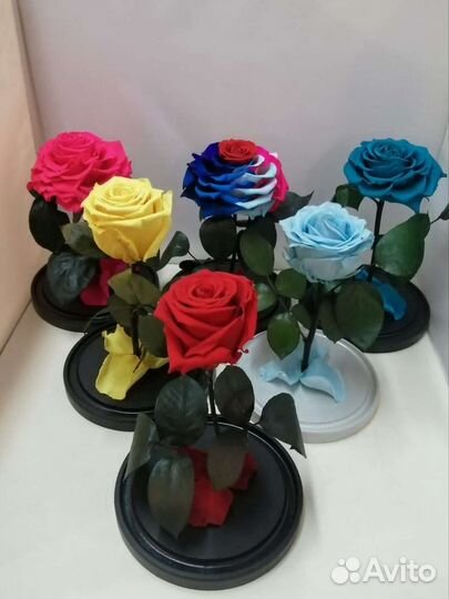 Цветы оптом