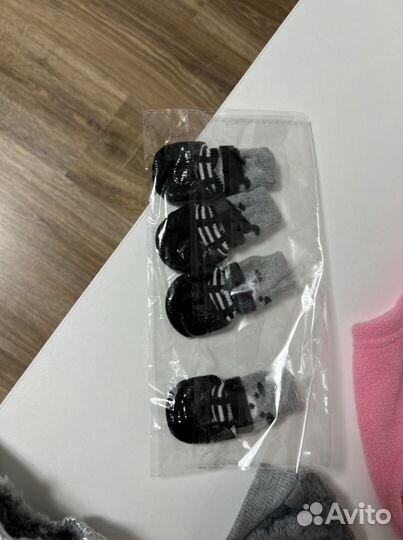 Одежда для собак мелких пород