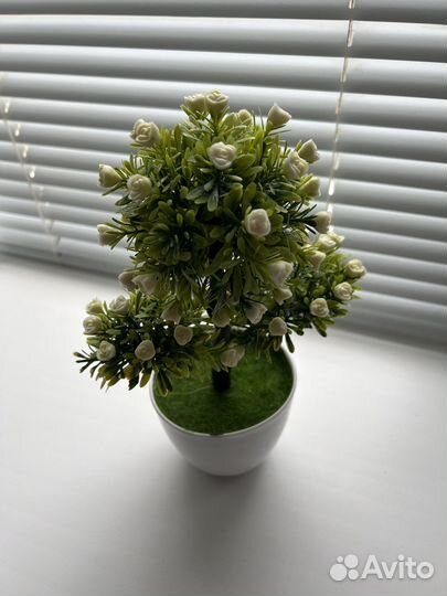 Комнатные растения искусственные