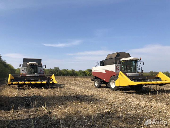 Жатка Fantini G03, 2023