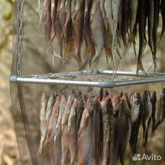 Рыбалка в Астрахани