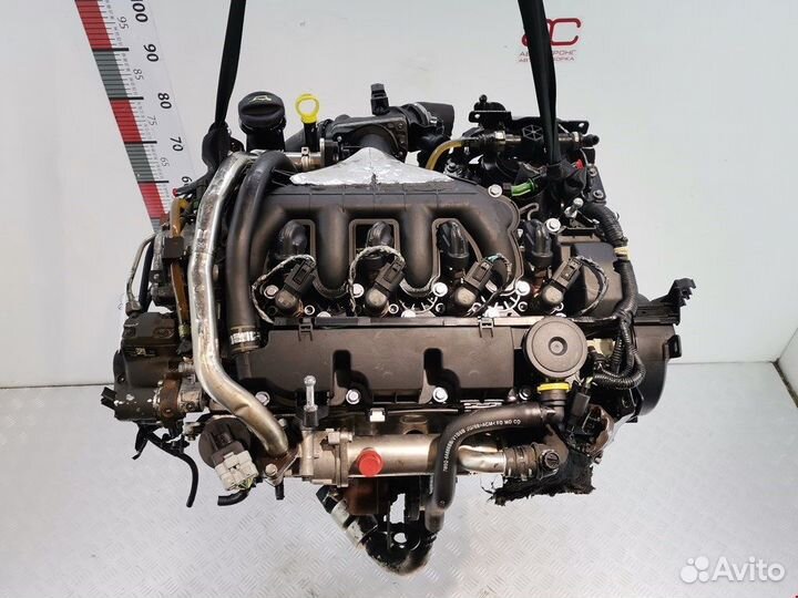 Двигатель (двс) для Ford Focus 2