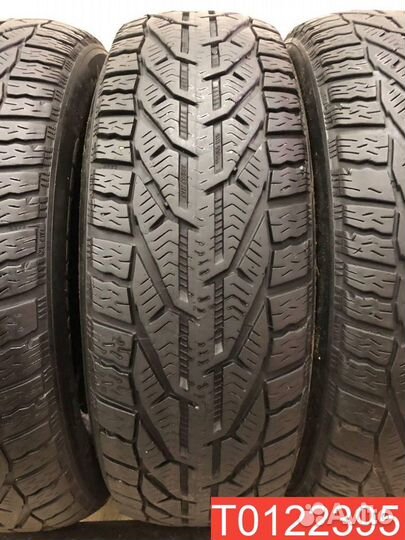 Tigar Winter 195/65 R15 95T