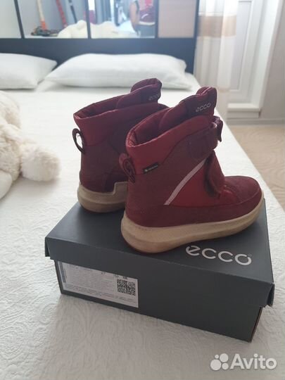 Продам сапоги Ecco