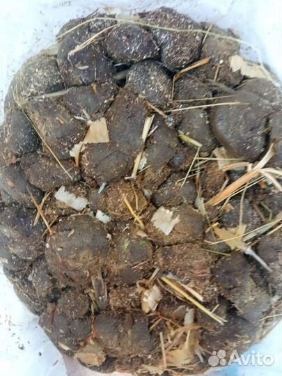 Конский,навоз