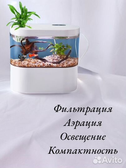 Мини аквариум для петушка и рыбок