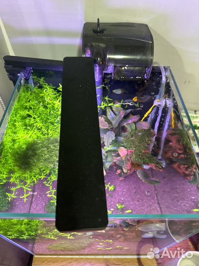 Аквариум