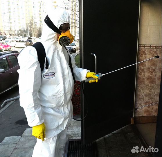 Уничтожение клопов муравьев клещей ос комаров крот