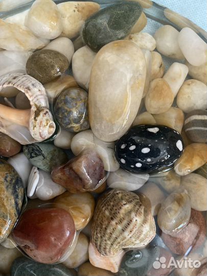 Морские камни