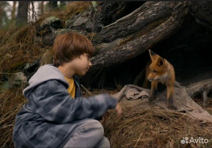 Билеты в театр,кино,музеи,концерты