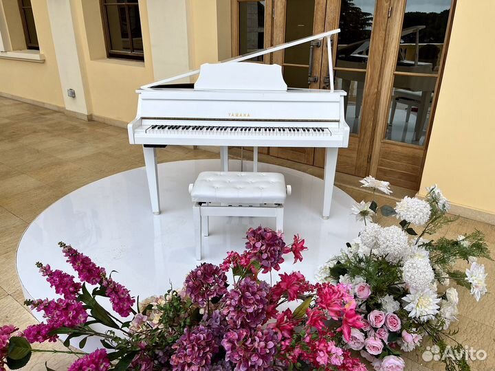 Аренда белого Рояля Yamaha