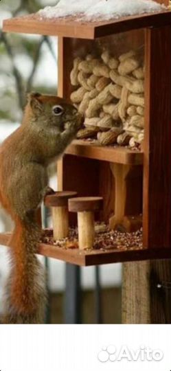 Бар для белок