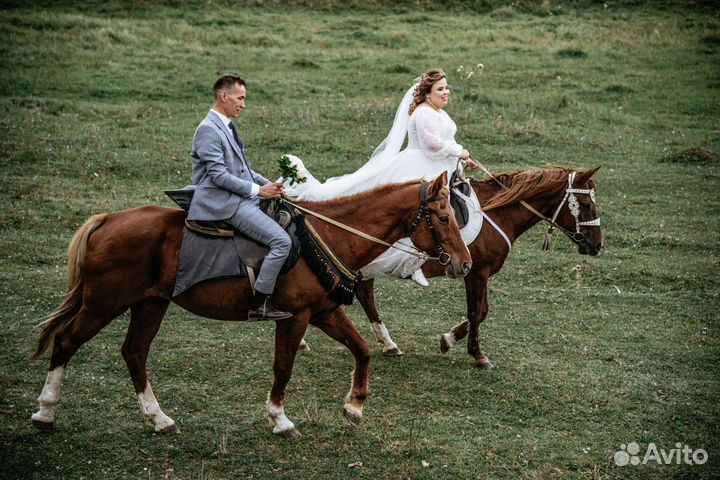 Фотограф и Видео оператор