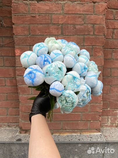 Букет из космических Пионов Цветы с Доставкой 24/7