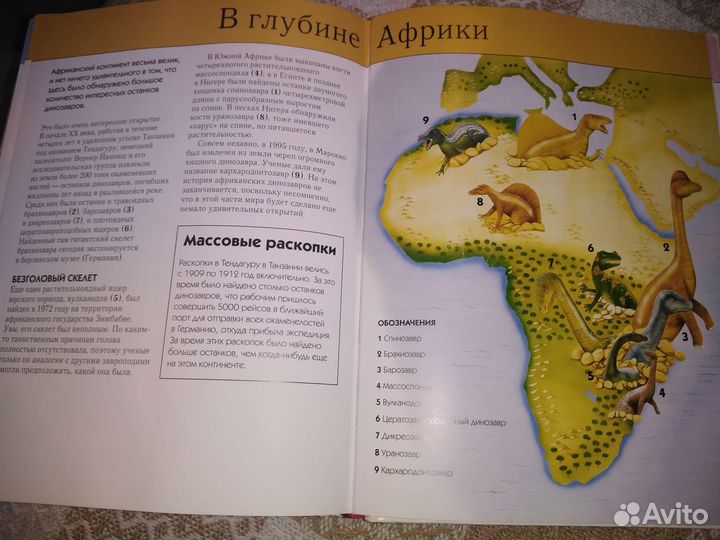 Книга для детей. Энциклопедия 